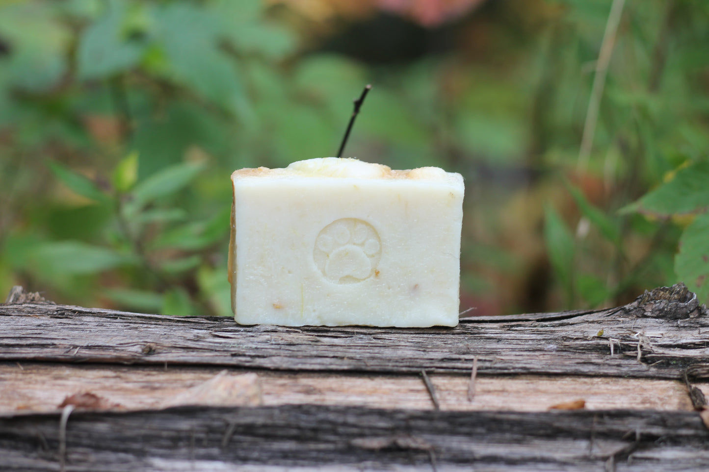 Bog Dog Doggie Soap with Lemongrass, Oat Straw, Carrot
