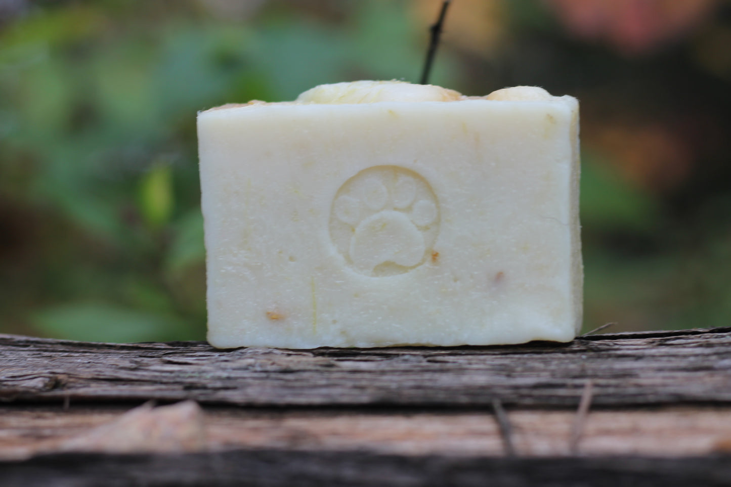Bog Dog Doggie Soap with Lemongrass, Oat Straw, Carrot