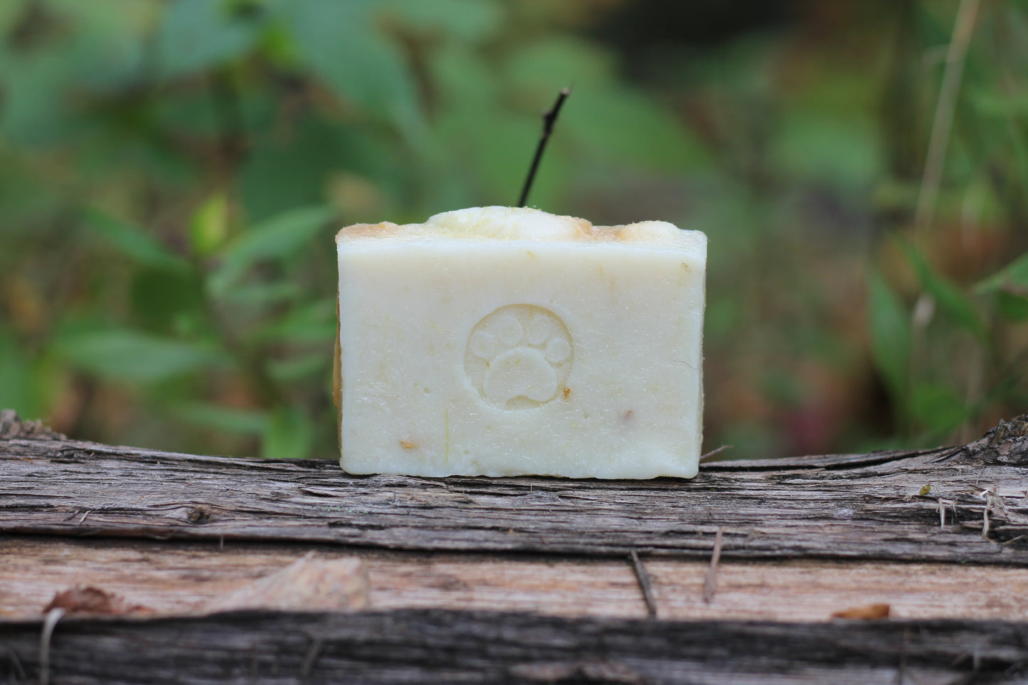 Bog Dog Doggie Soap with Lemongrass, Oat Straw, Carrot