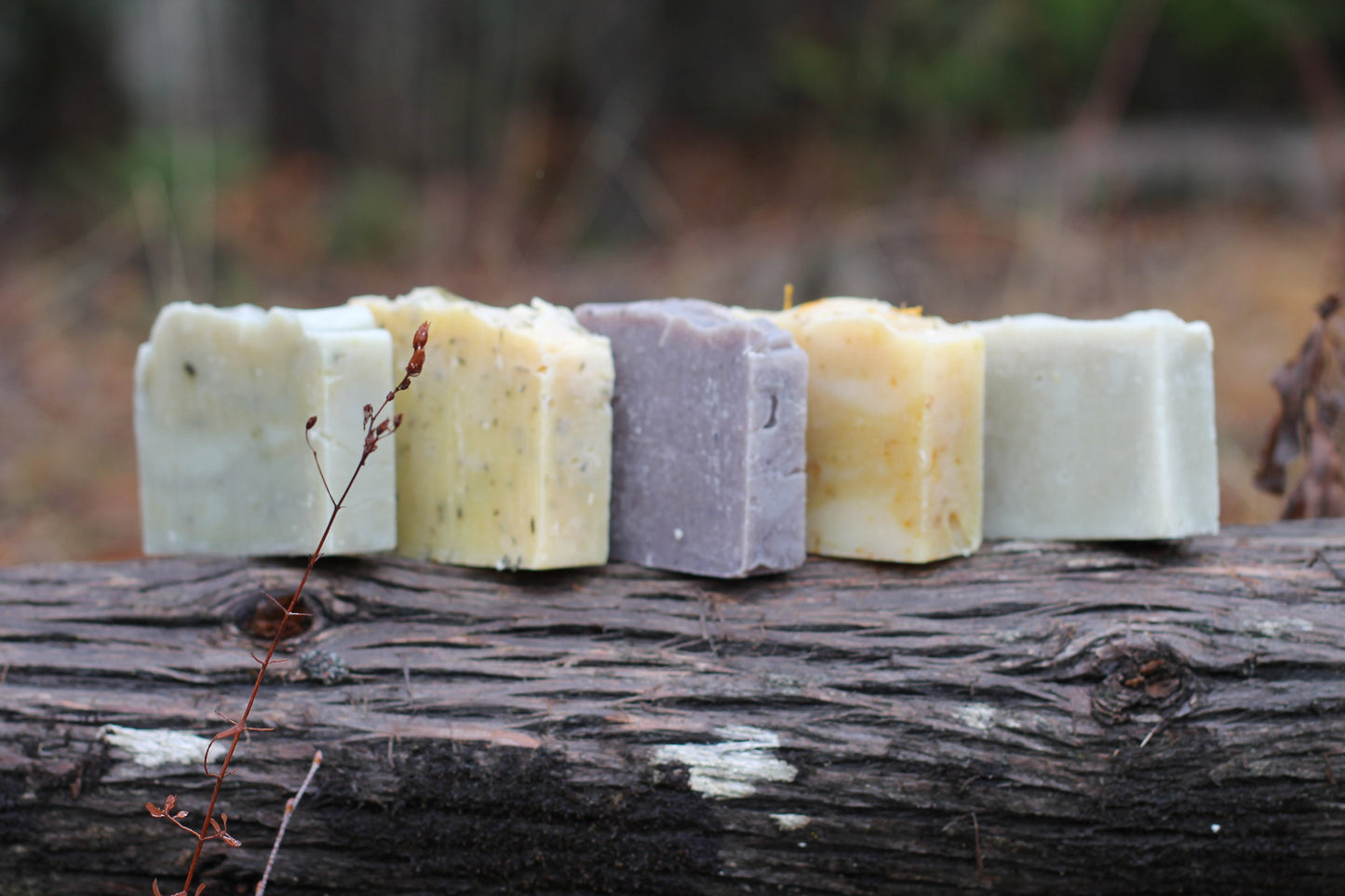 Belle Savon Vermont Artisan Soap Gift Set in VT Wooden Box- Belle Savon Vermont