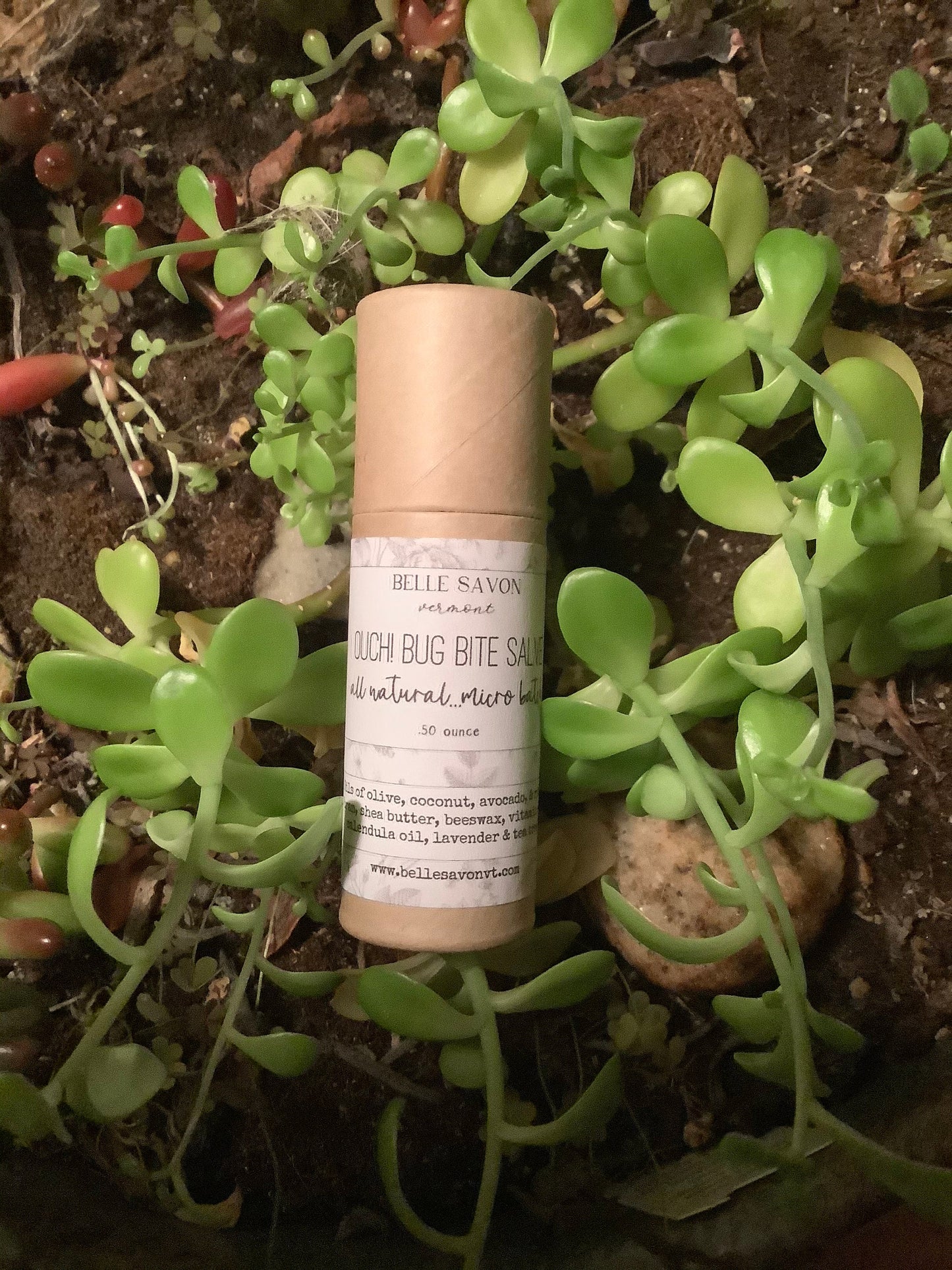Bug Bite Salve- All Natural Soothing Salve- Eco Paperboard Tube - 1/2 Ounce